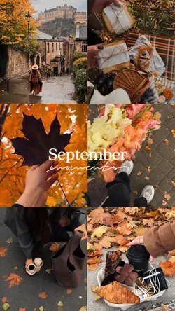 Autumn moments