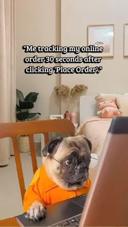 tracking my online o