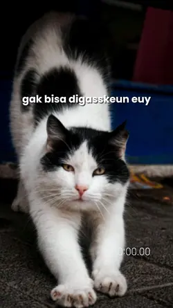 rute tidak ditemukan