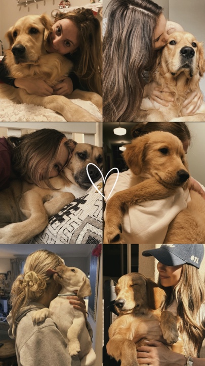 Mein Hund 