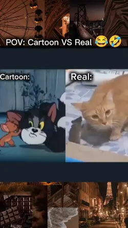 Cartoon VS Real