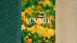 SUMMER AESTHETIC