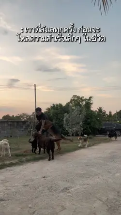 ลังเลที่จะโพสความสำเร็จ