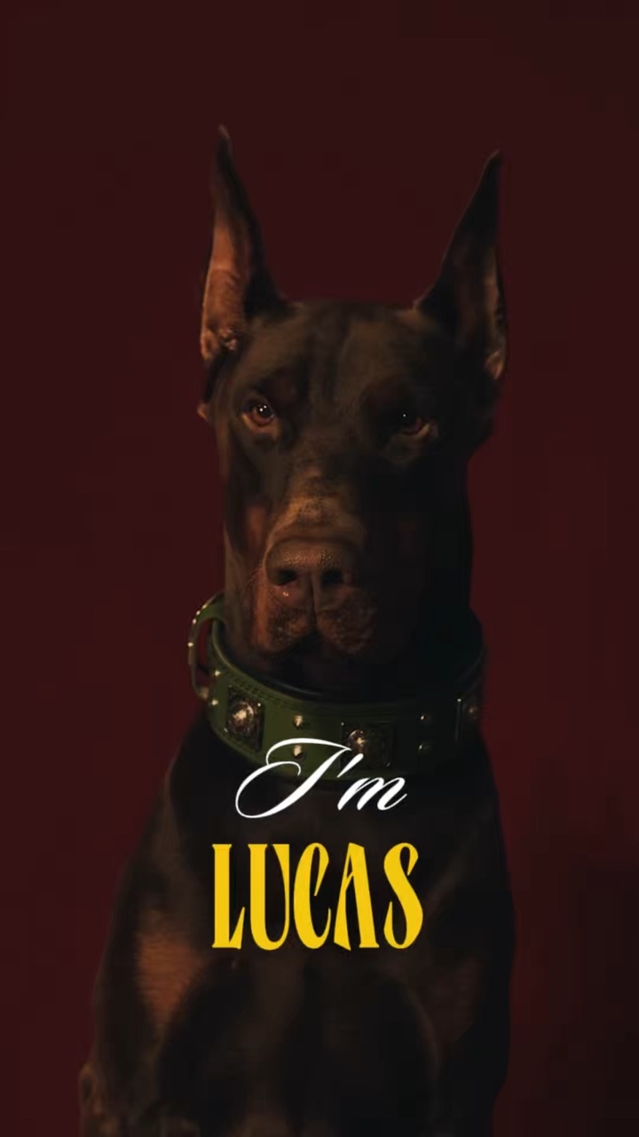 Pet intro