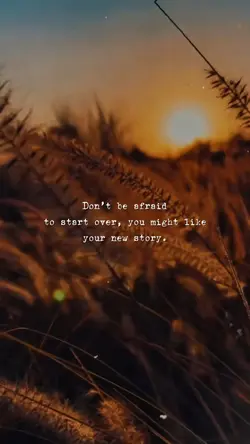 Start Over