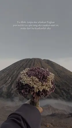 story wa
