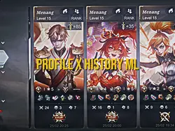 PROFILE X HISTORY ML