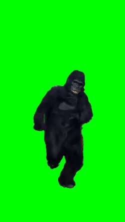 gorilla running