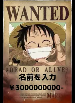 ワンピース手配書