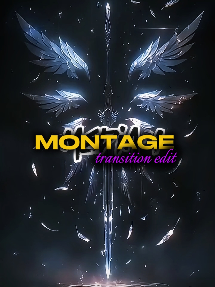 MONTAGE