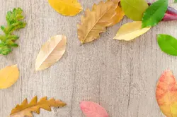 fall is here