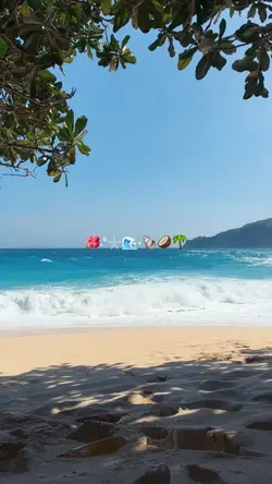 Moana Sea Vibes'