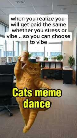 dance meme cat