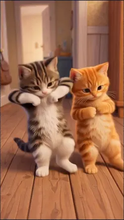 dancing cat