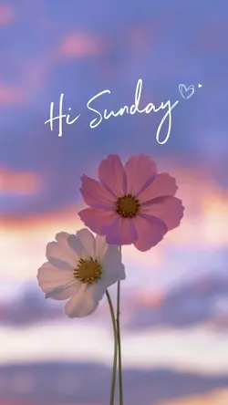 Hi Sunday