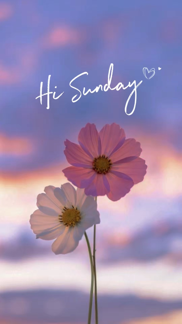 Hallo Sonntag