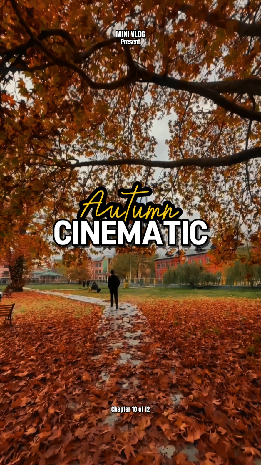 Autumn Cinematic
