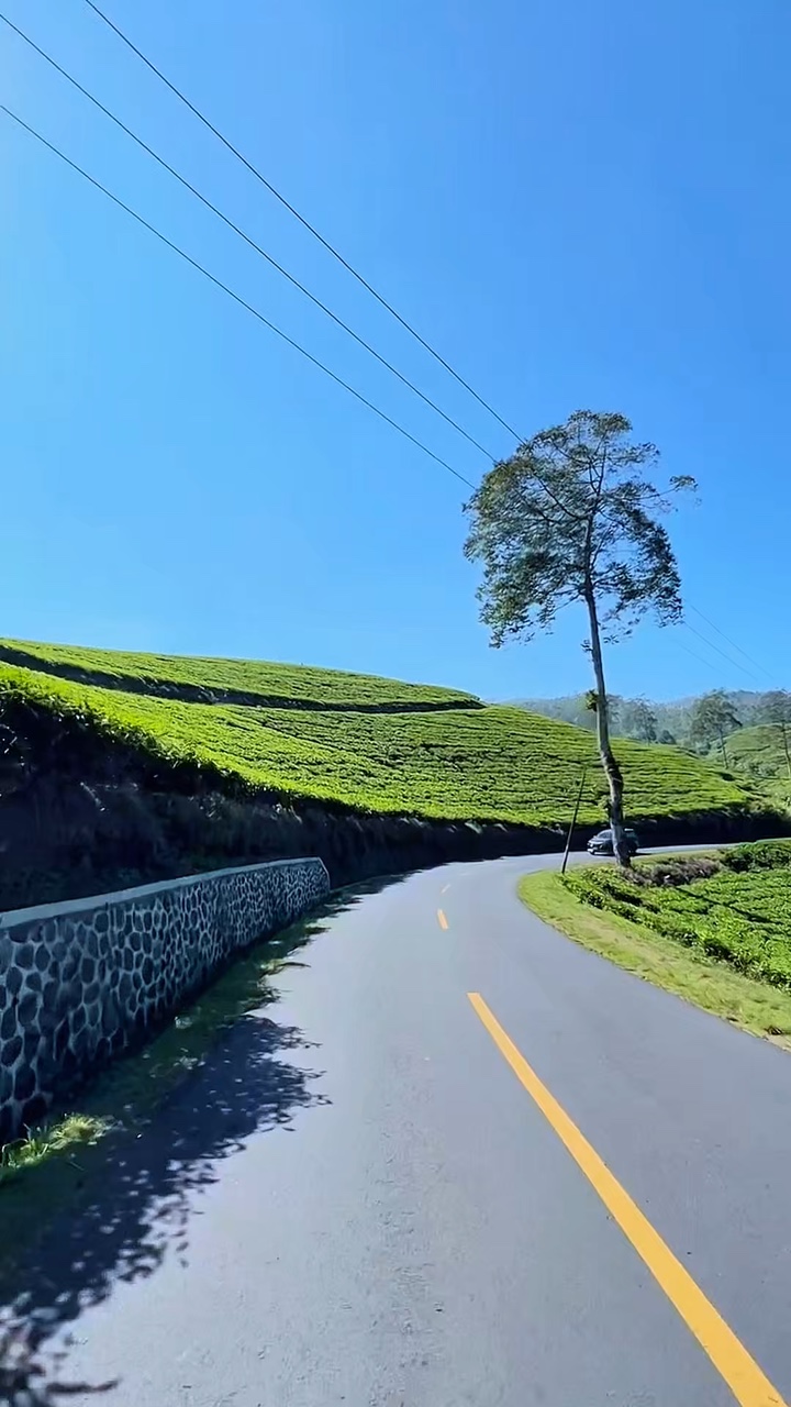 8 video road trip