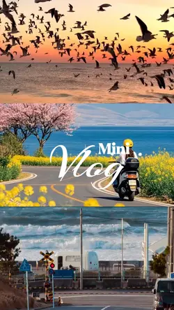 Mini Vlog