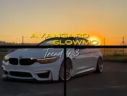 Avangard•Slowmotion