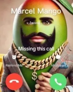 marcel mango
