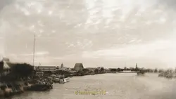 นกขมิ้น-