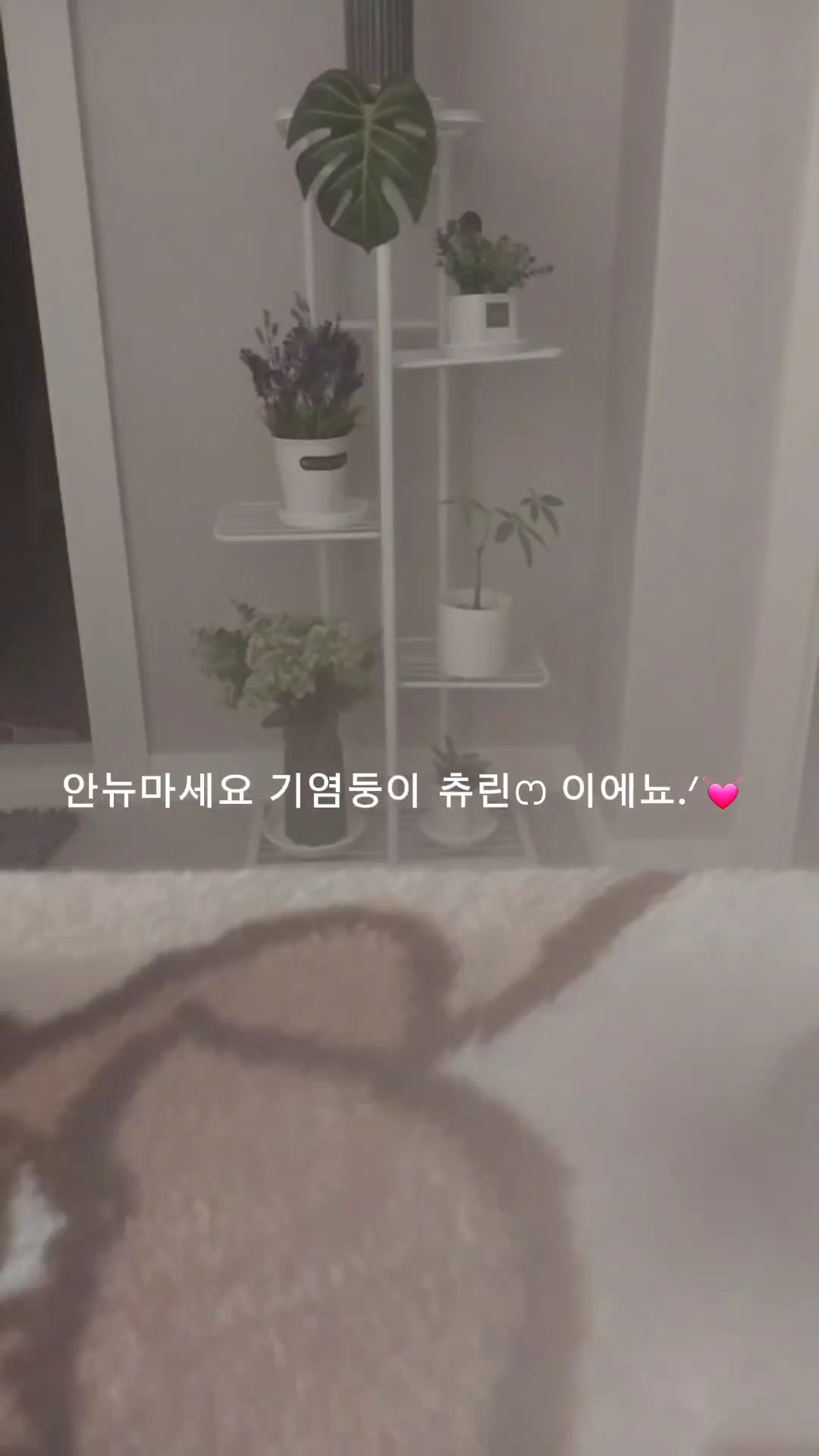 #포용계   