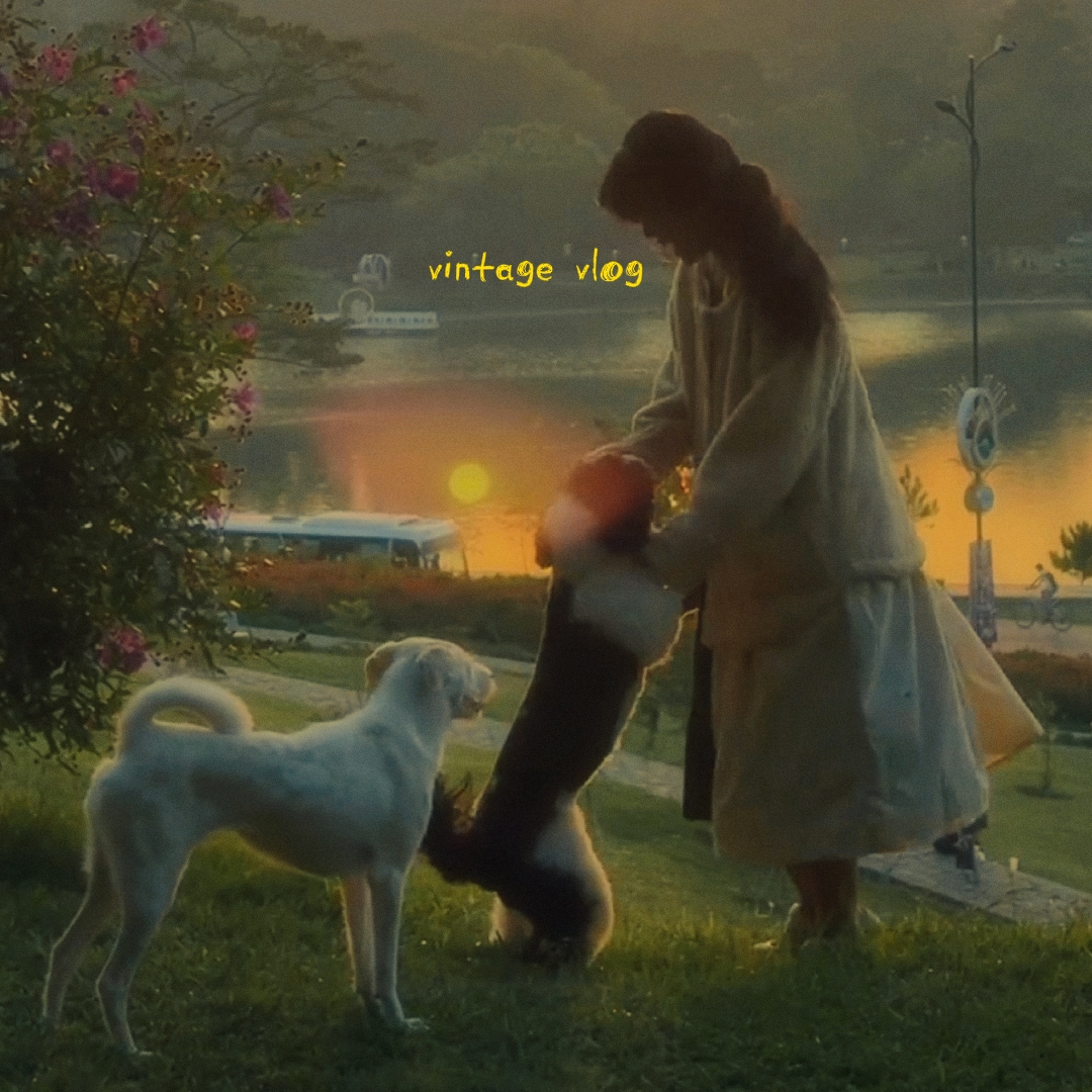 Filme vlog vintage