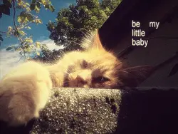 BEMYLILBABY