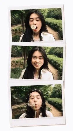 3 Frame polaroid
