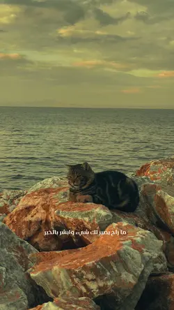 ابشر بالخير.اصبر🤌