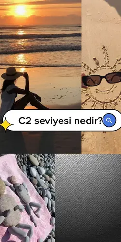 C2 seviyesi 