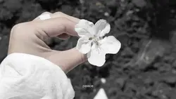 Cinematic Nature