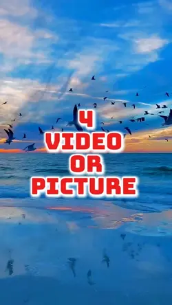 4 video new template