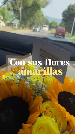 flores amarillas<3
