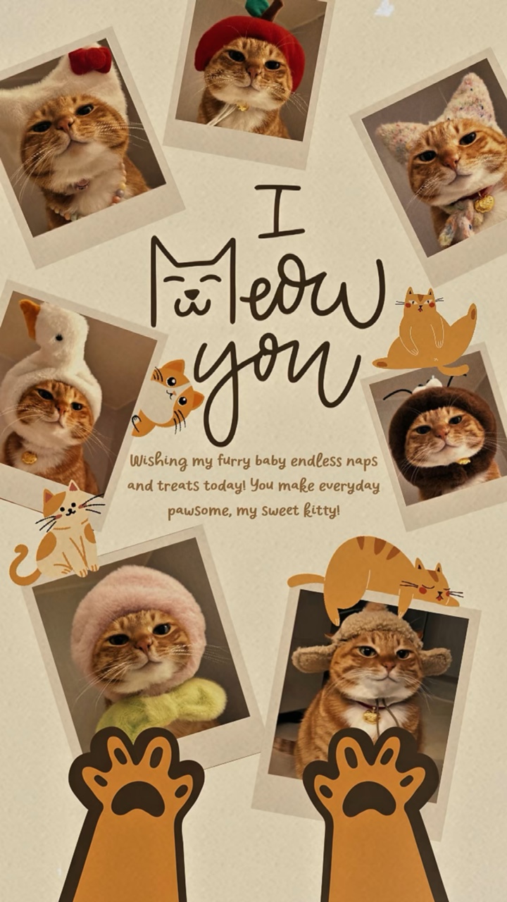Día Nacional del Gato 