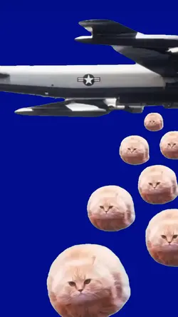 FUNNY MEME TEMPLATE