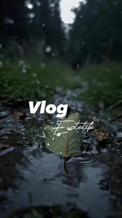 Vlog Estetik