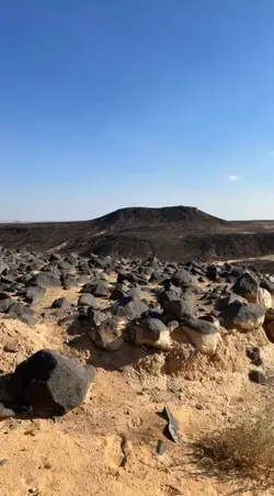 بدون صوت 
