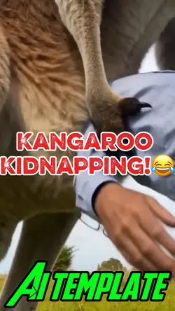 Kangaroo kidnappin