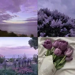 So you like purple 💜