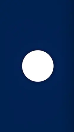 circle portrait ¹⁷