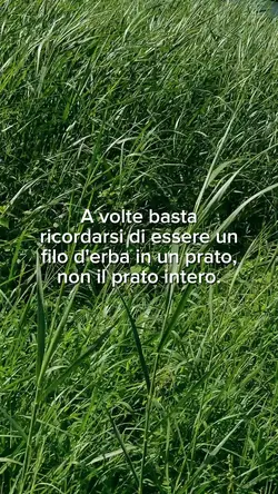 Filo d’erba 🌿