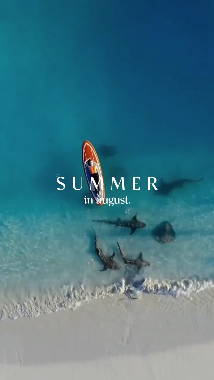 summer in august