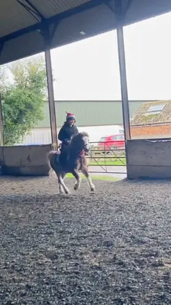RIDING DARES VLOG 
