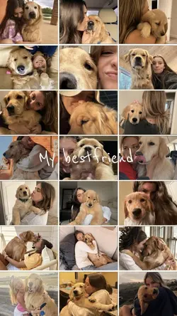 Dog bestfriend 