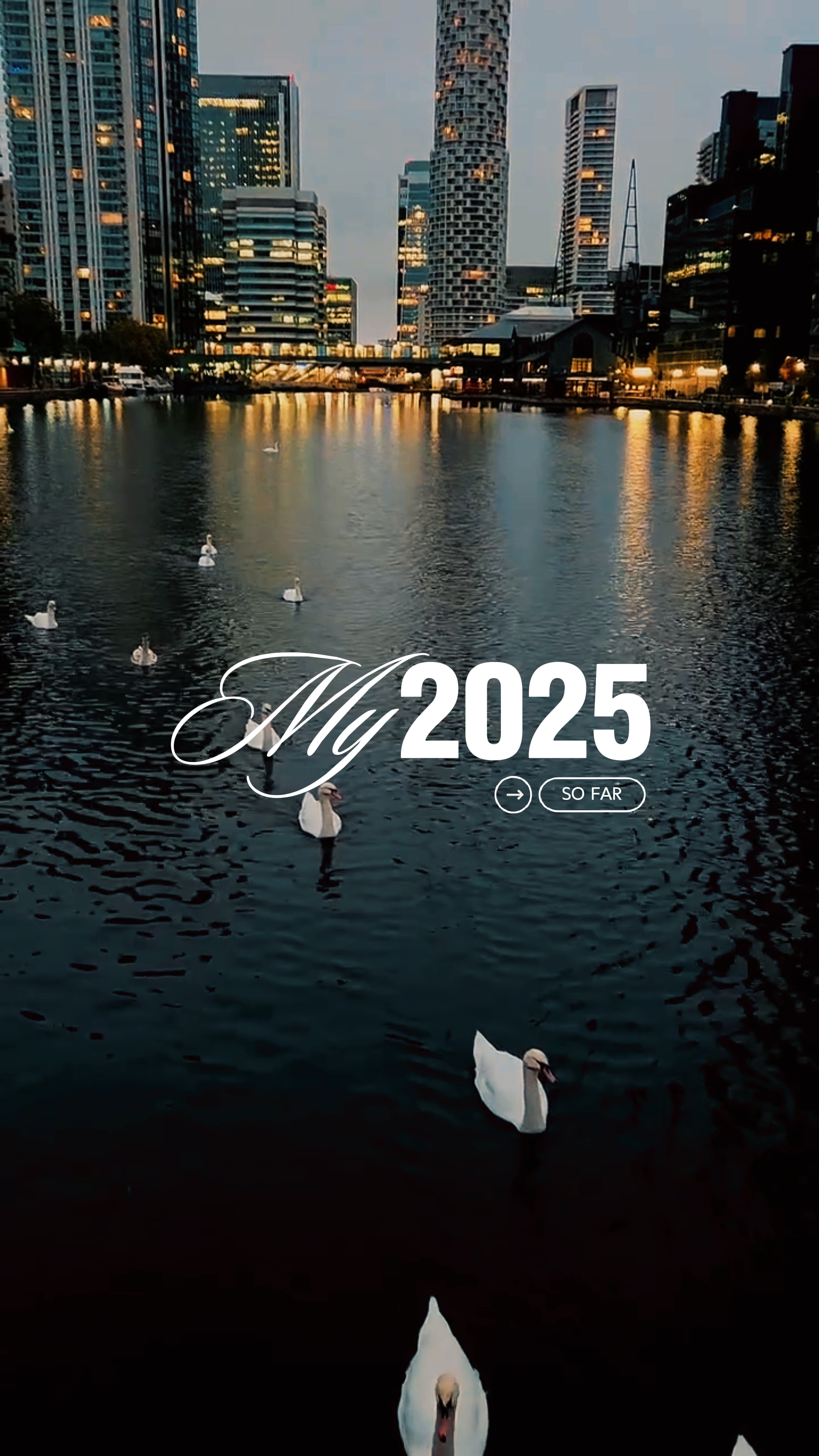 2025 bis jetzt 80 Clips