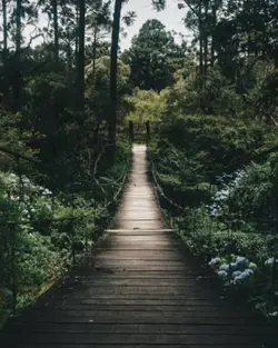 perfect relationship