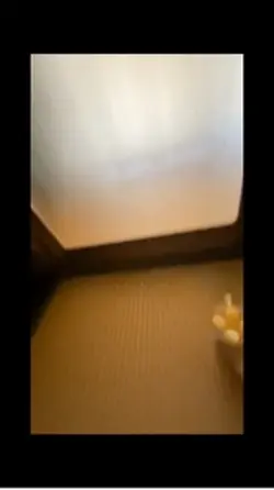 ぜひなにかに使ってください😿💗