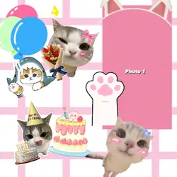 Happy Pawtastic BD